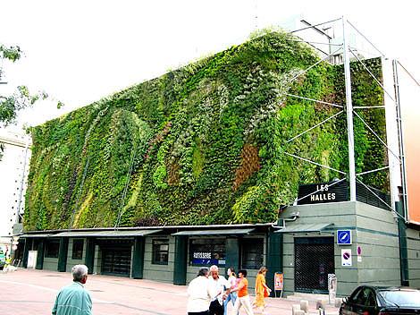 Zielona ściana w Awinionie projektu Patrica Blanca